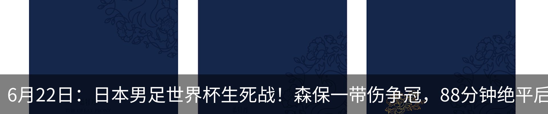 新闻动态